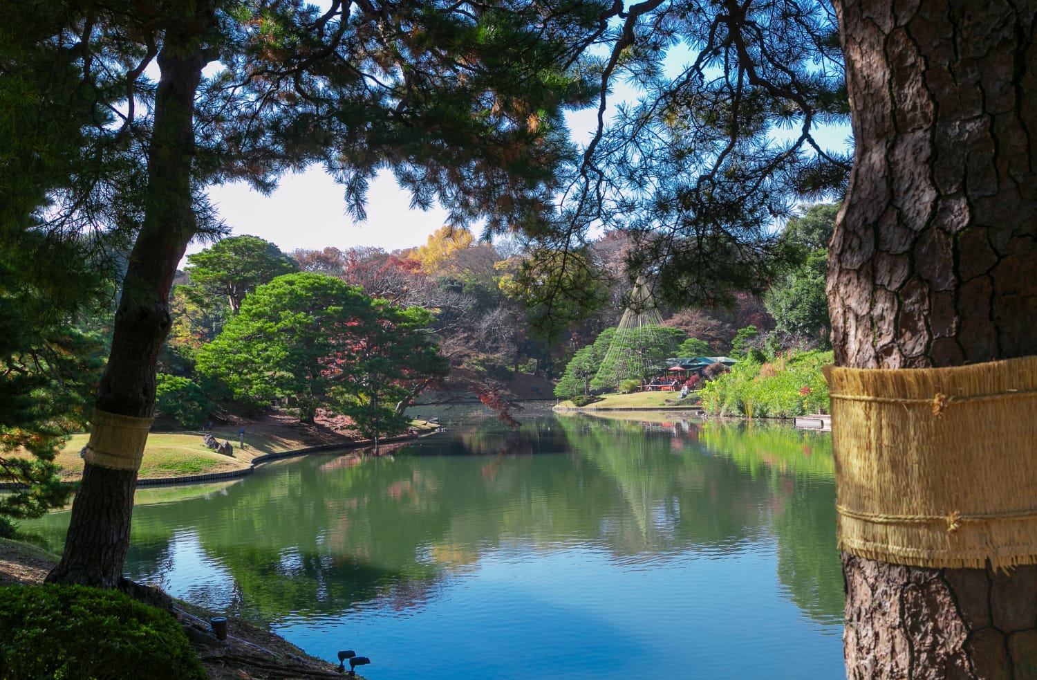 六義園（徒歩17分/約1,360m）