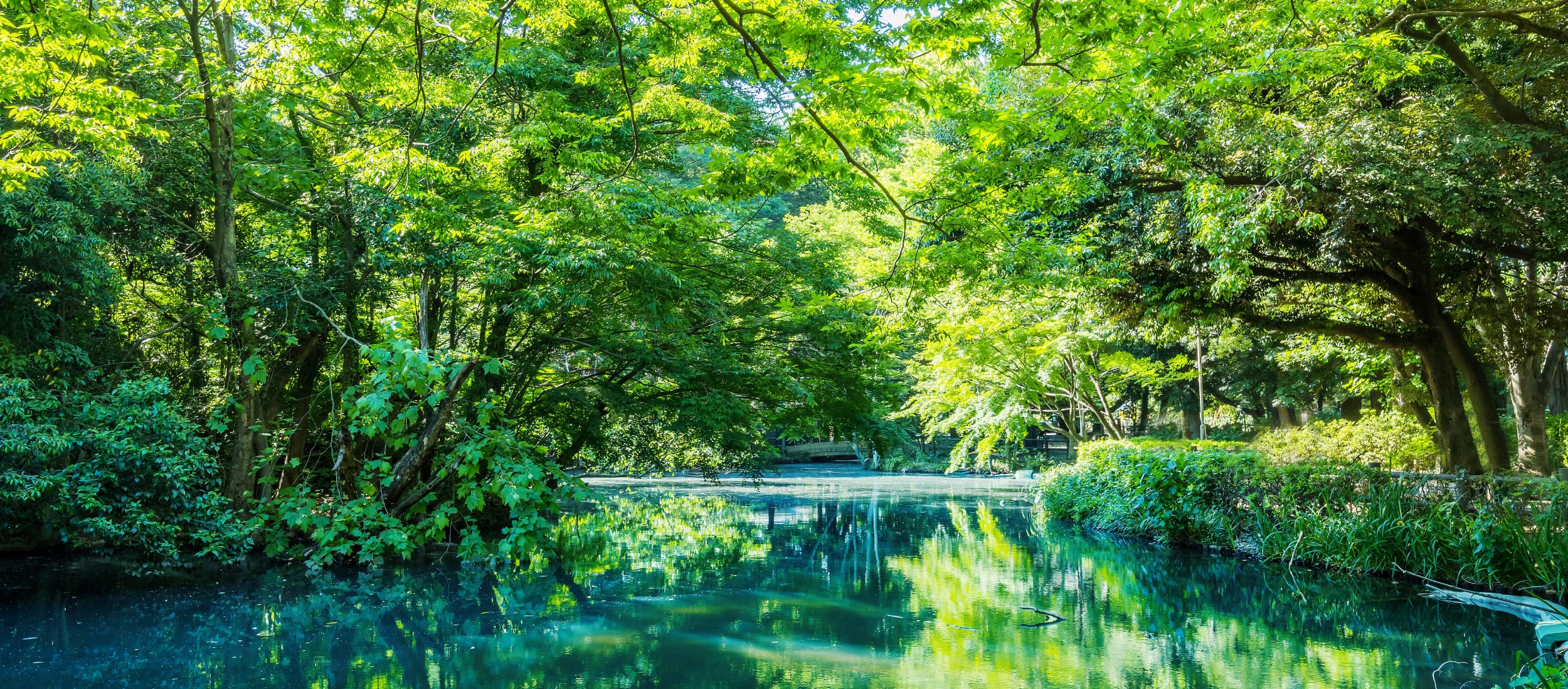 和田堀公園（徒歩18分）