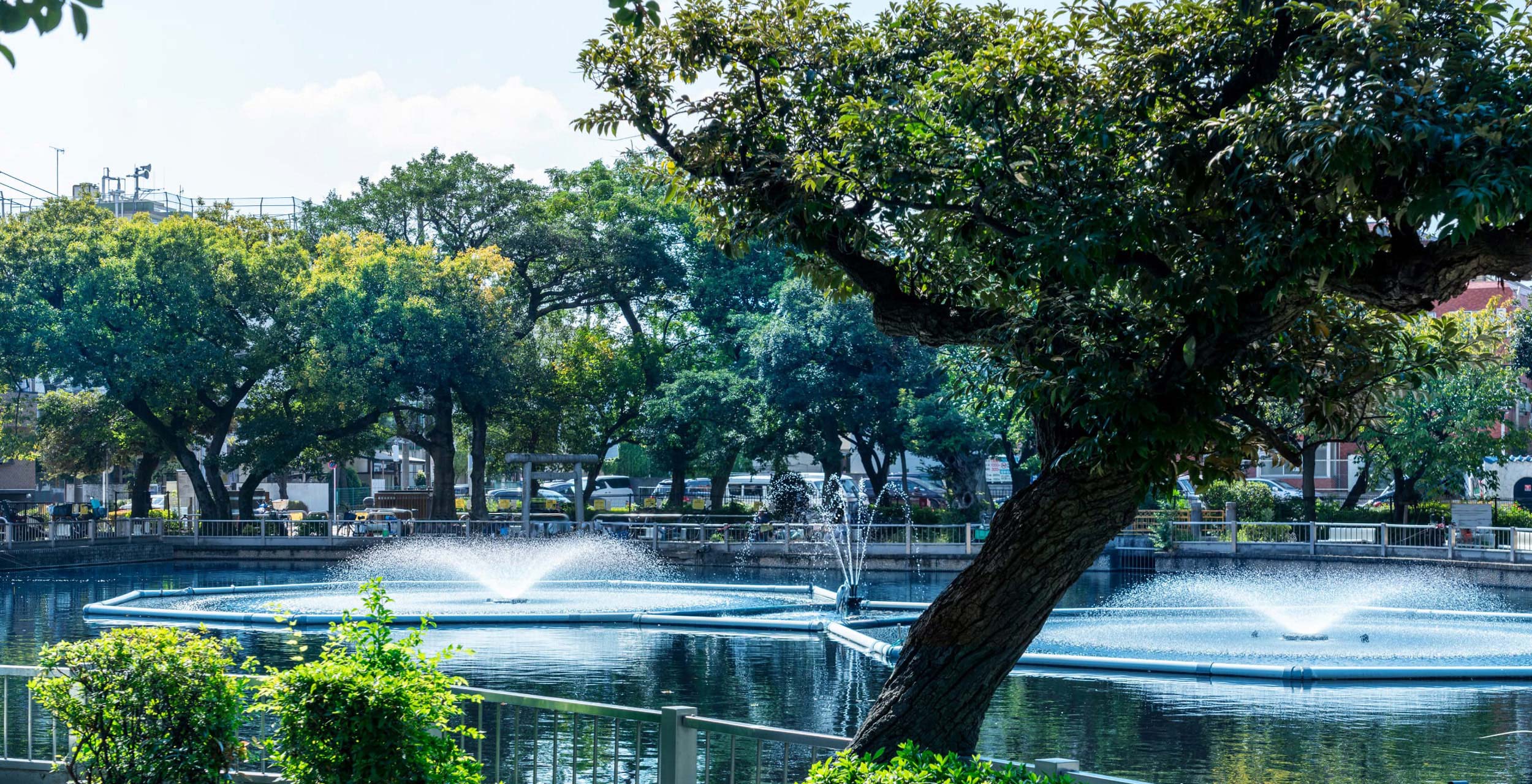 清水池公園（徒歩5分／約370m）