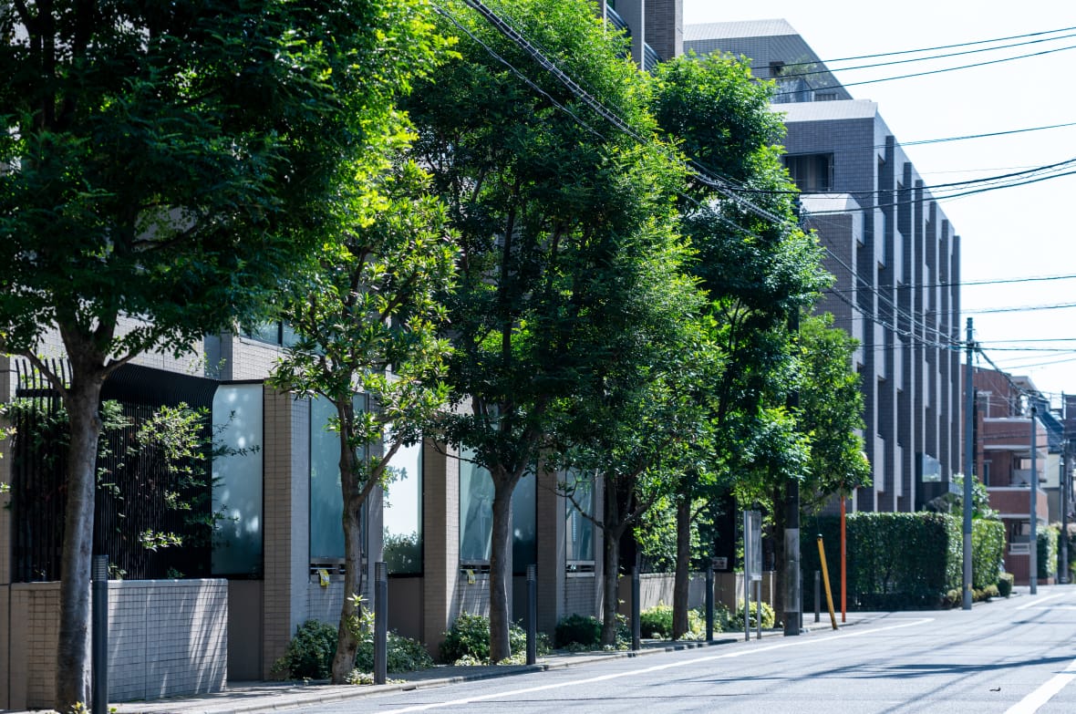 現地周辺の街並み