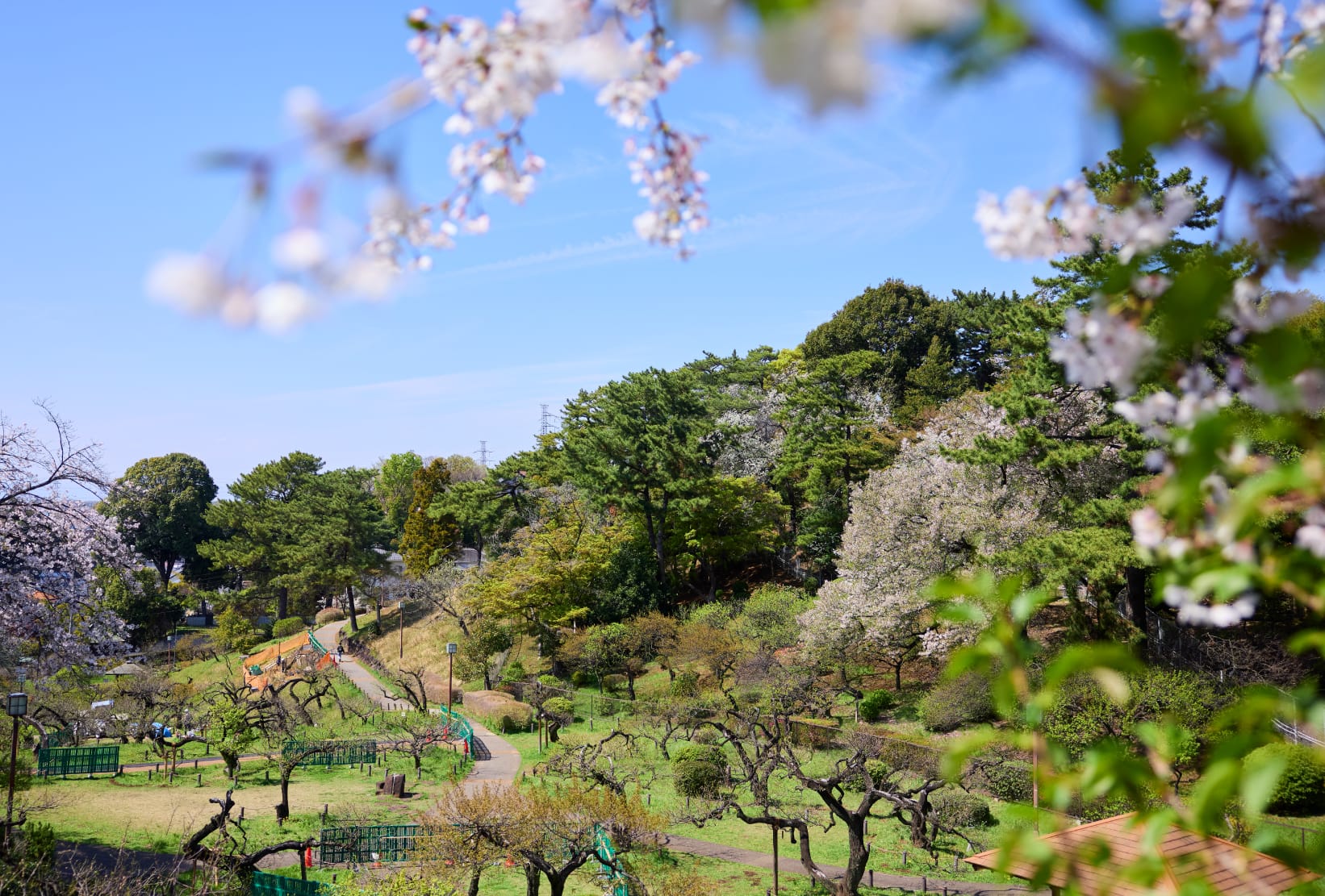 大倉山公園（徒歩6分/約430m）