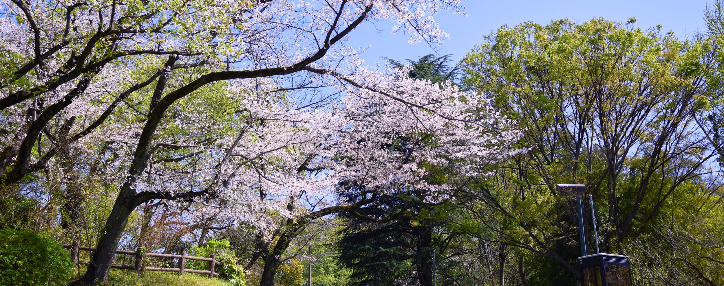 大倉山公園（徒歩6分/約430m）