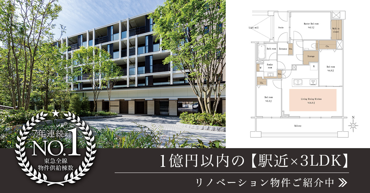 1億円以内でご紹介中の【駅近×3LDK】プロジェクト