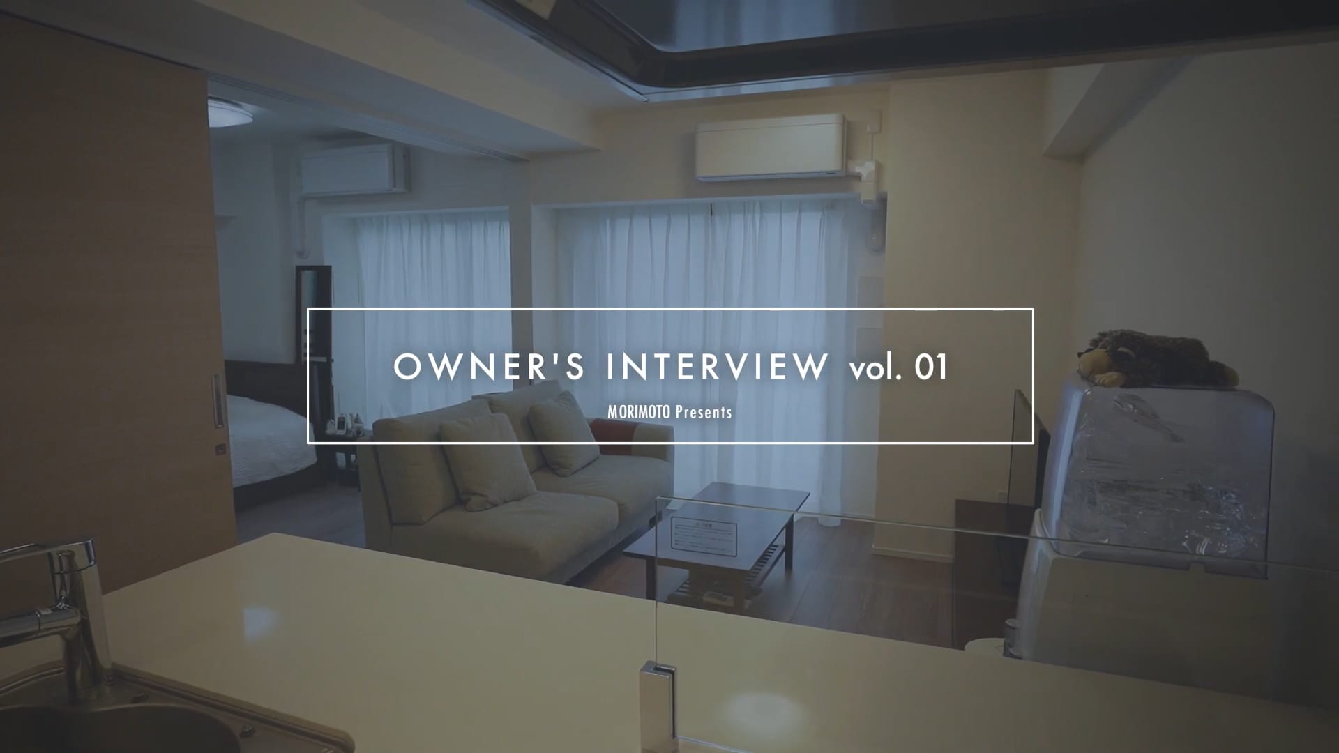 OWNER'S INTERVIEW 01