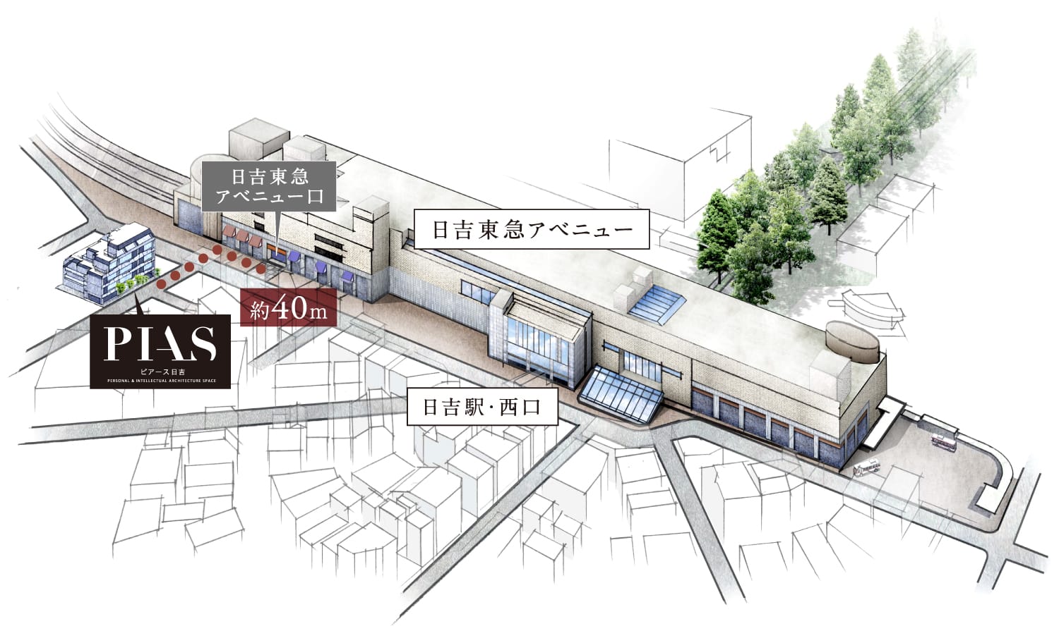 「日吉」駅直結の、東急アベニューの出口から40m。