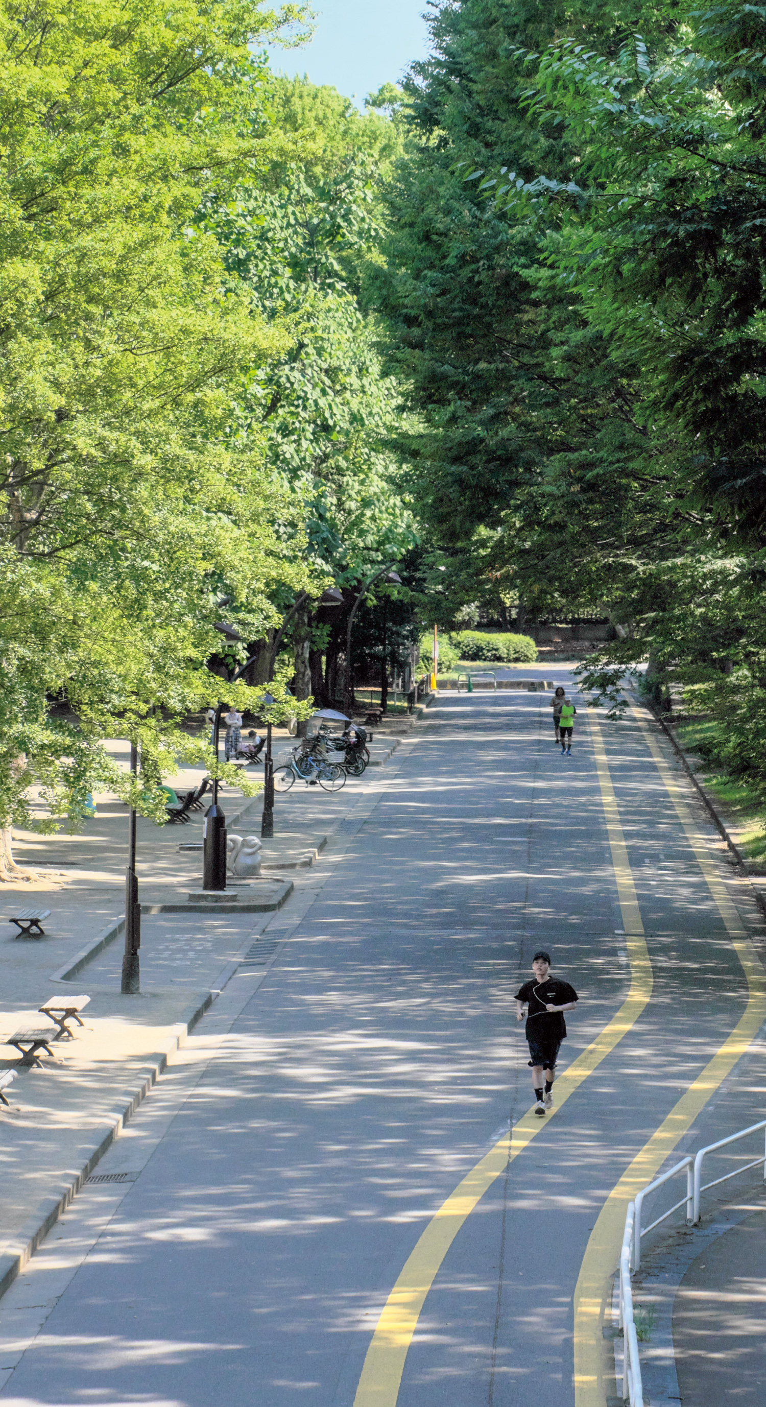 駒沢オリンピック公園