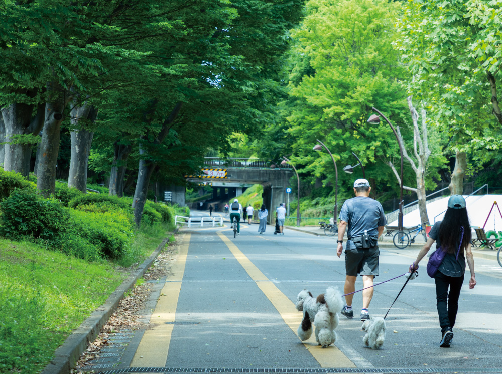 駒沢オリンピック公園