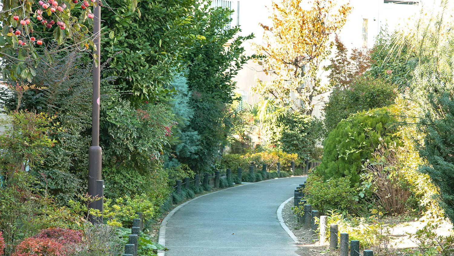 烏山川緑道