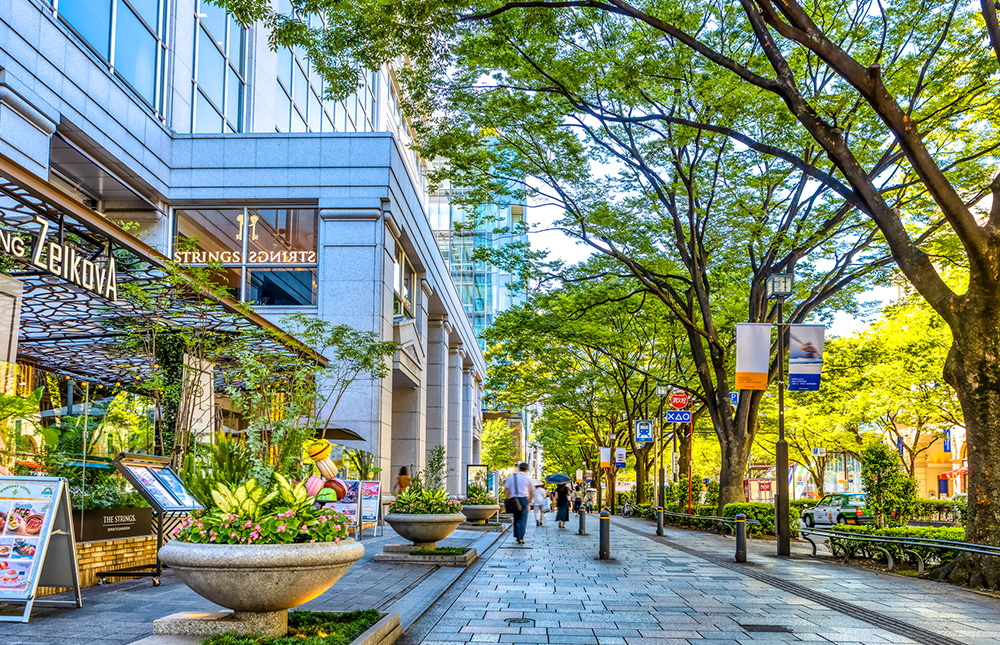 OMOTESANDO