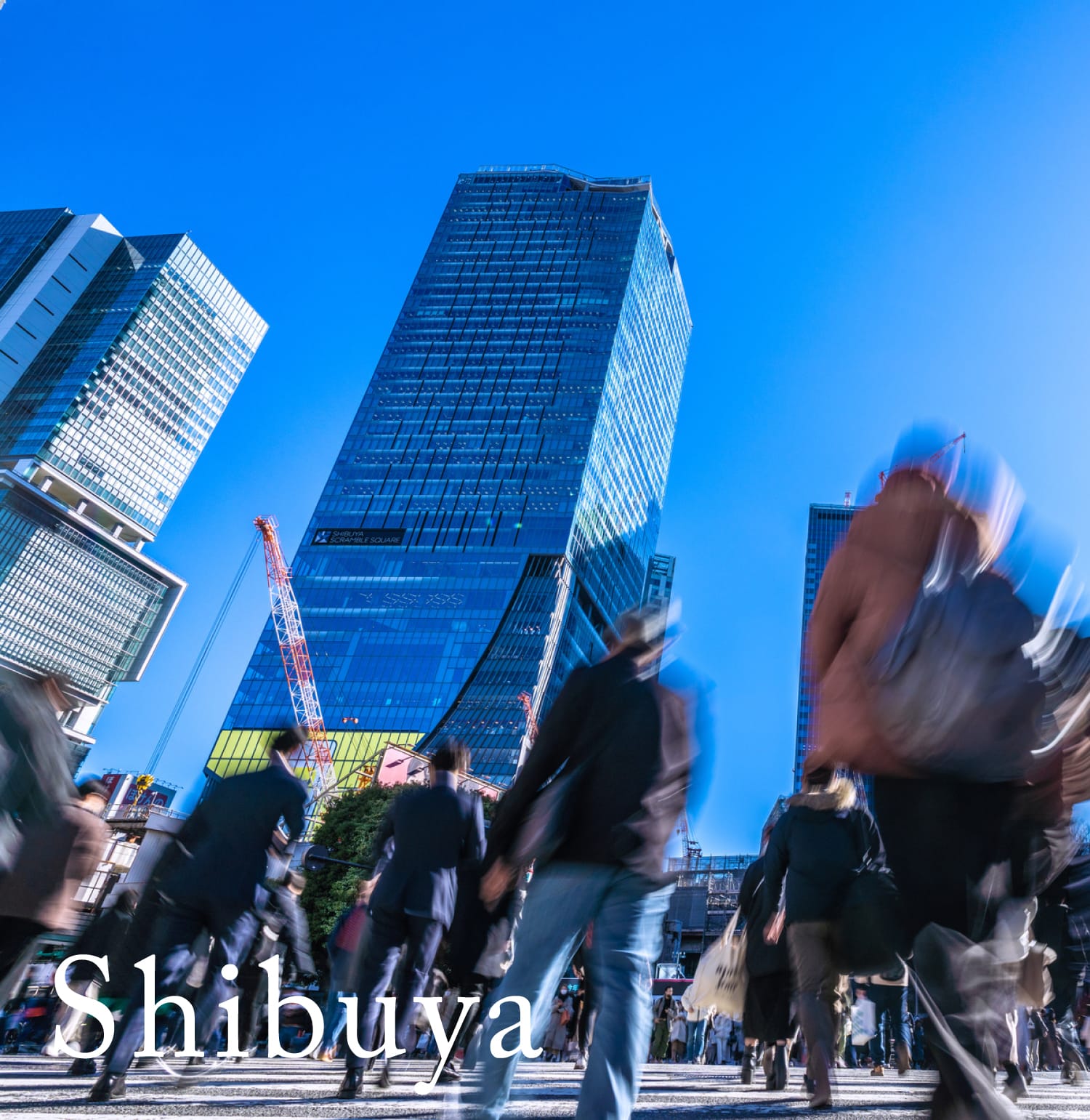 「渋谷」駅へ直通5分