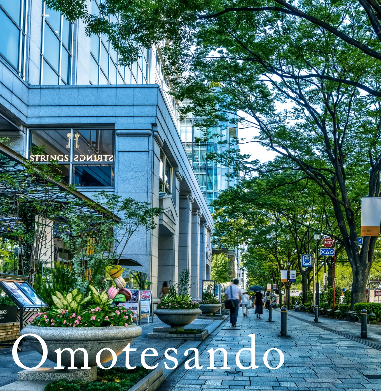 「表参道」駅へ直通8分