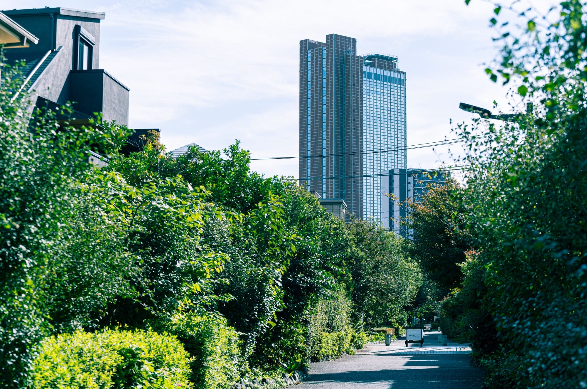 現地周辺の町並み（徒歩4分/約270m）