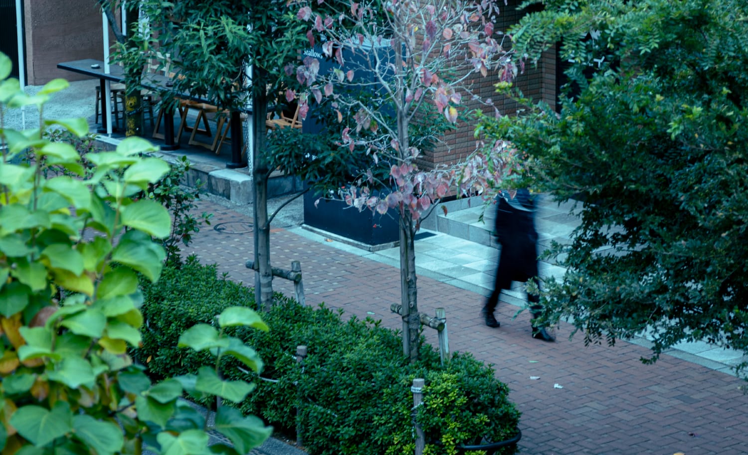 「三軒茶屋」駅周辺の町並み（徒歩10分/約800m）