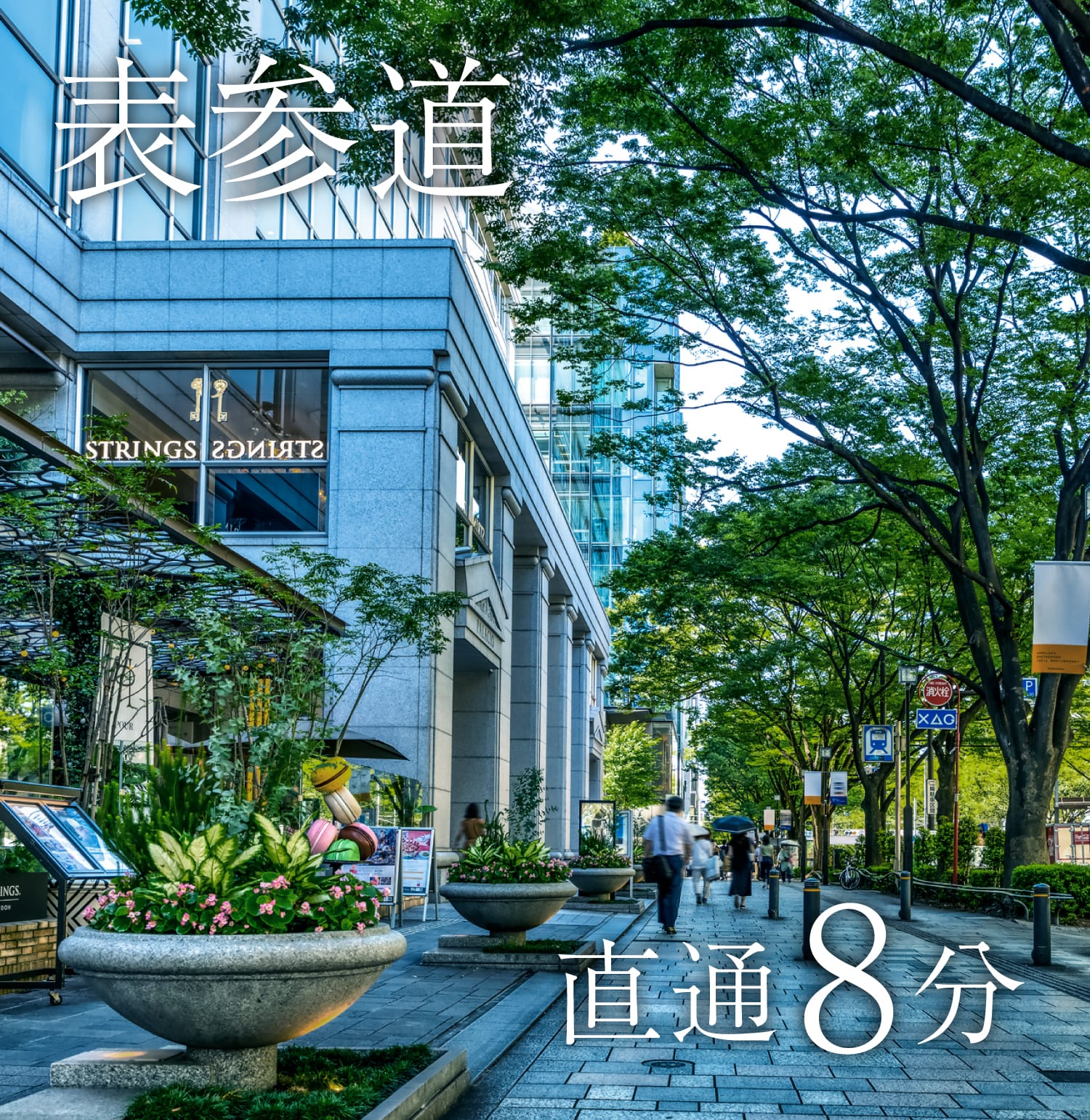 表参道直通８分